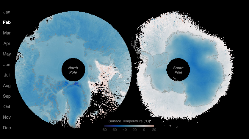Arctic and Antarctic surface temperature maps